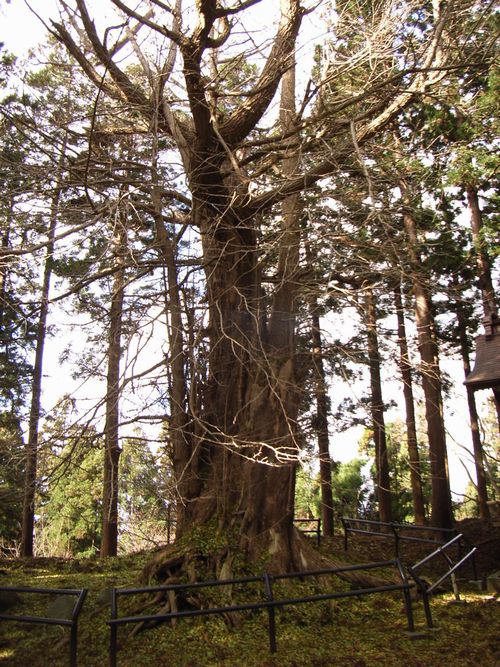 ��J����i�v�Q�j