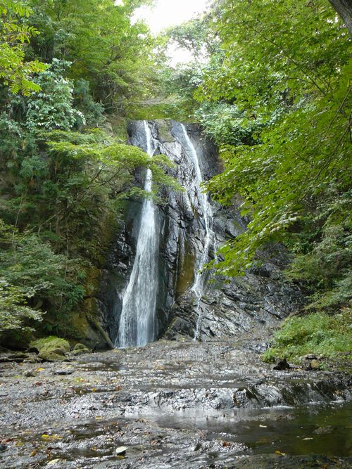 �������̑�