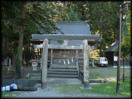 ���q�_��