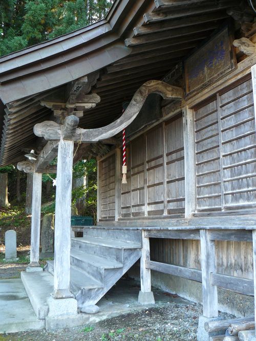 ���q�_��