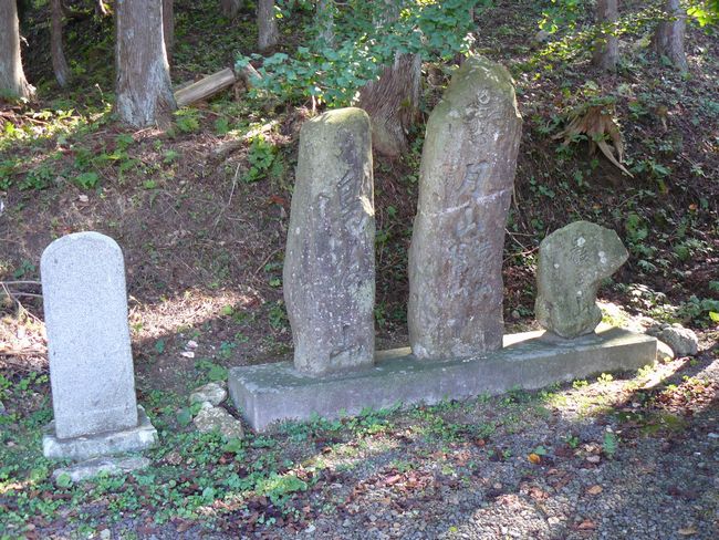 ���q�_��