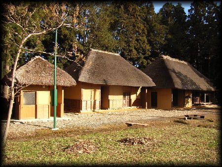 ������ƏZ��