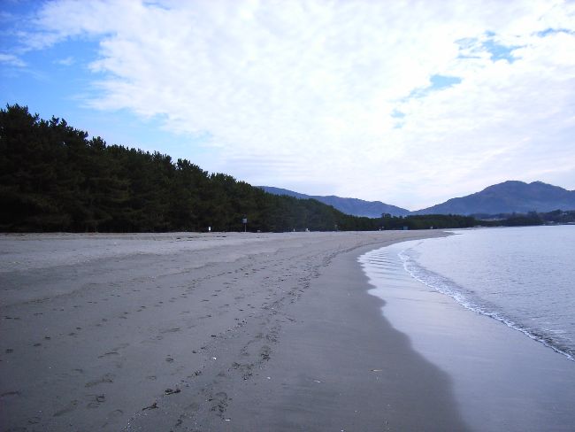 ���c����