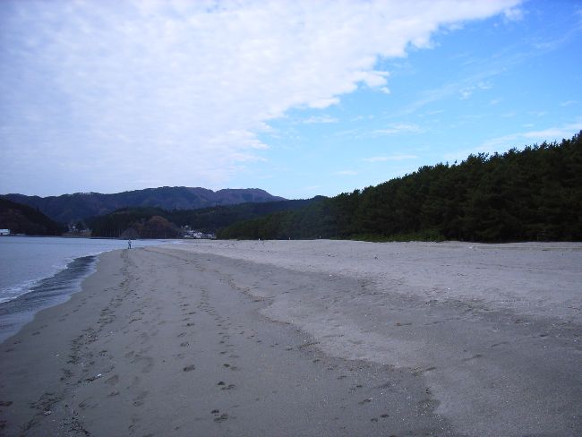 ���c����