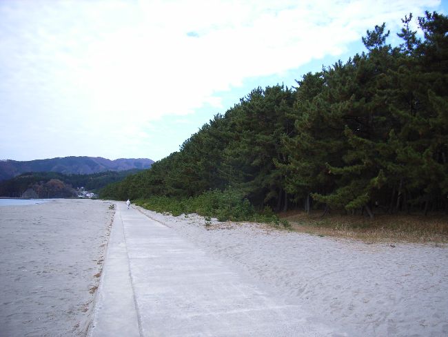 ���c����