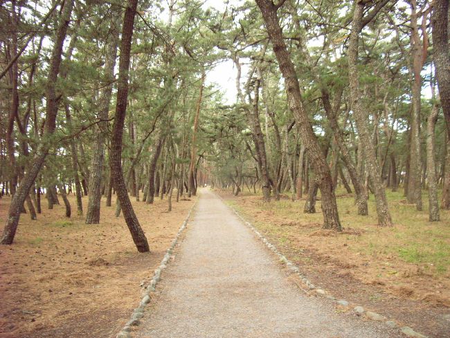 ���c����