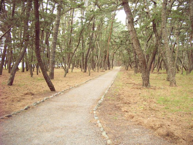 ���c����