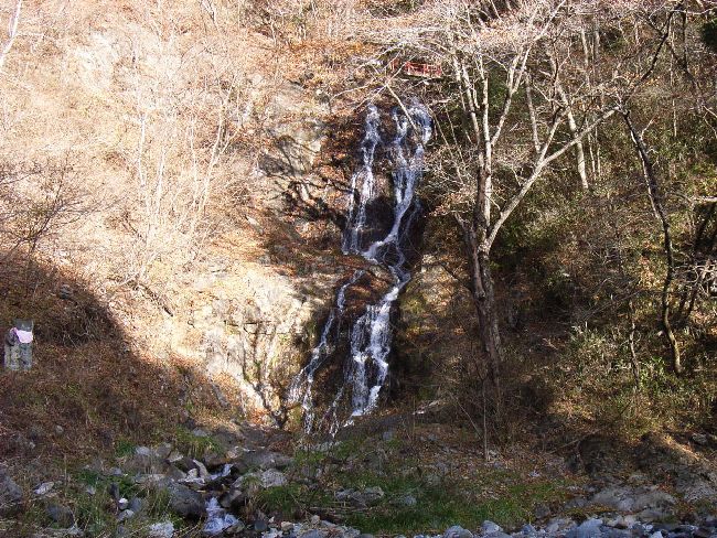 �����̑�