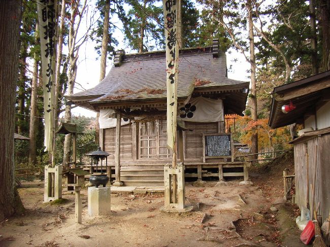 �������F��t��